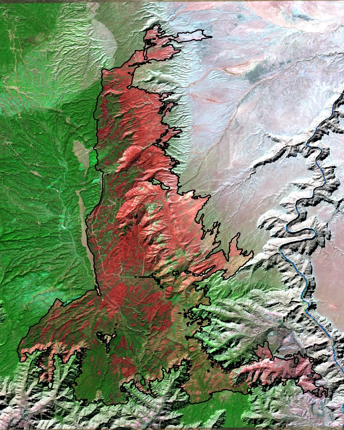 Post-fire false-color satellite image of the Dragon Bravo Fire: the burn scar in red-brown against green forest, with the burned area outlined
