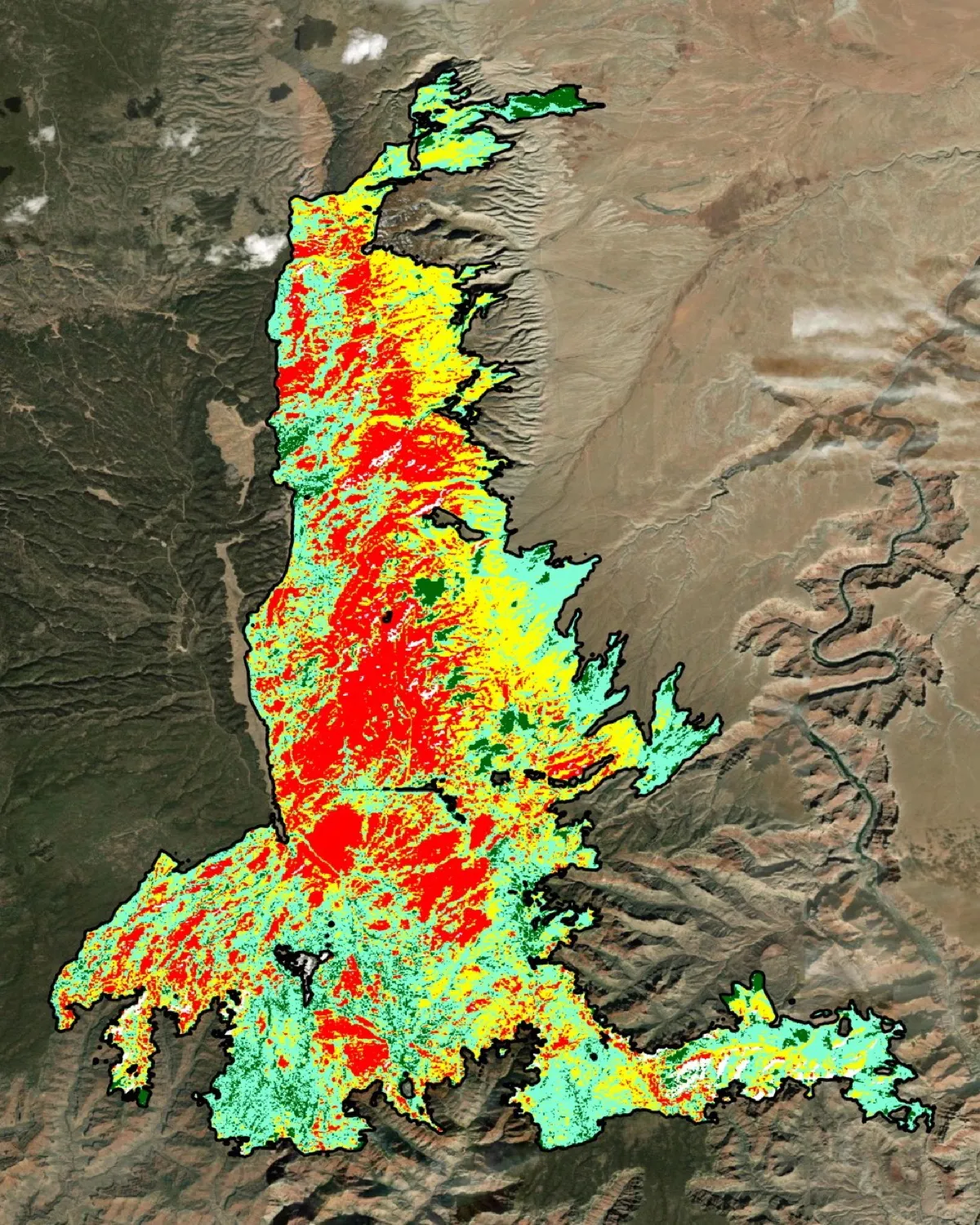 The toolkit's burn severity classes for the same area: large red high-severity patches in the center of the burn, yellow moderate and aquamarine low toward the edges