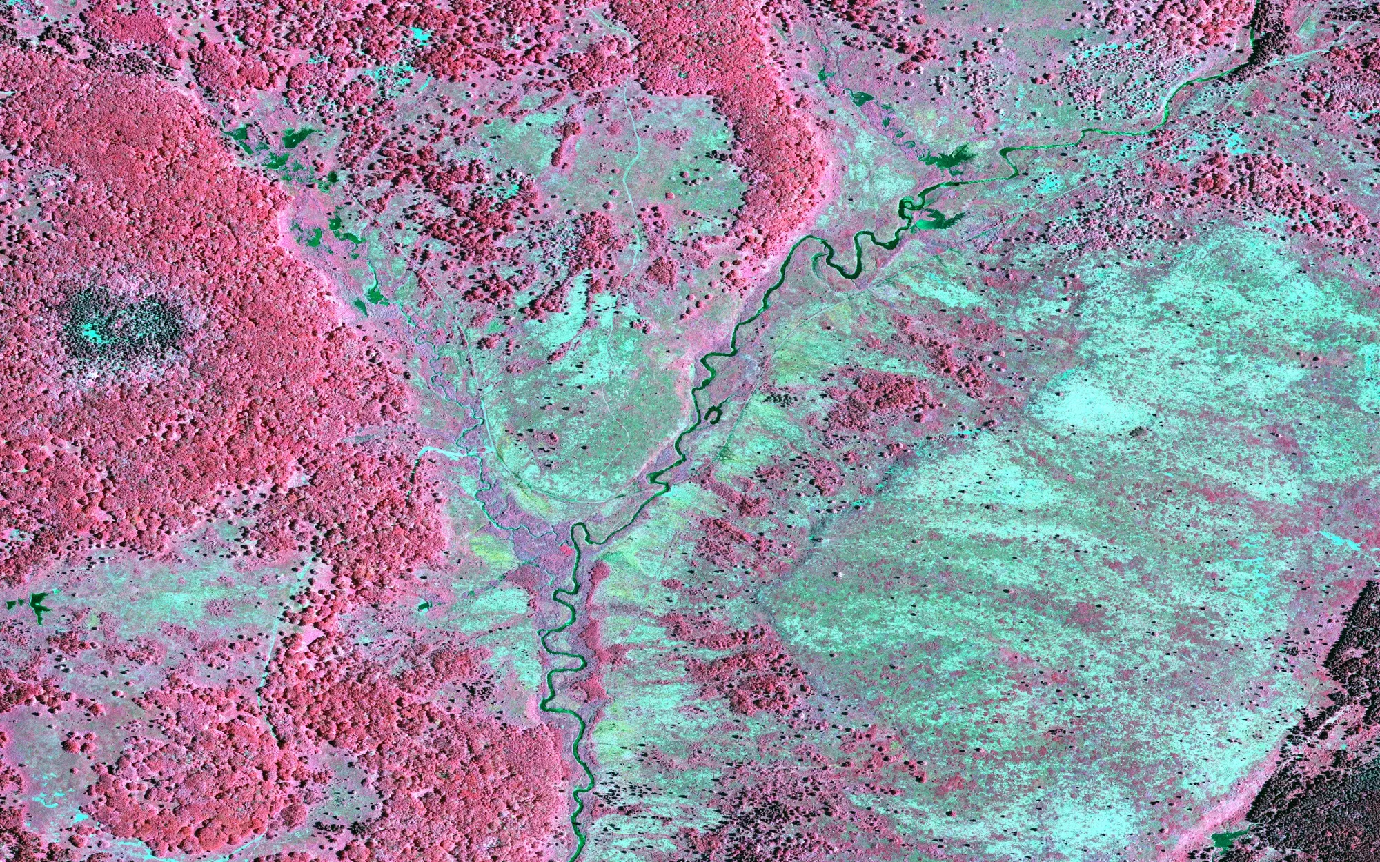 The same area in color-infrared: forest in deep red, open heath in pale cyan, the stream dark