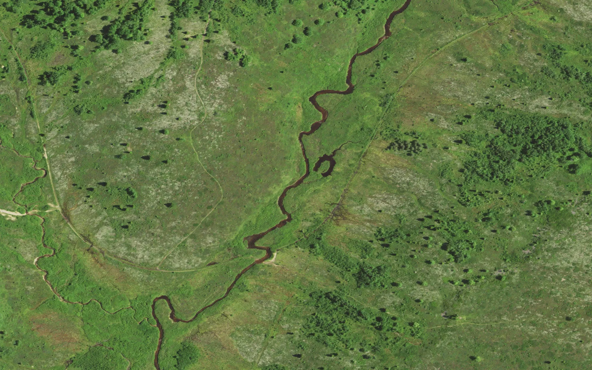 Close-up NAIP image of a meandering stream through open heath with scattered trees and trails