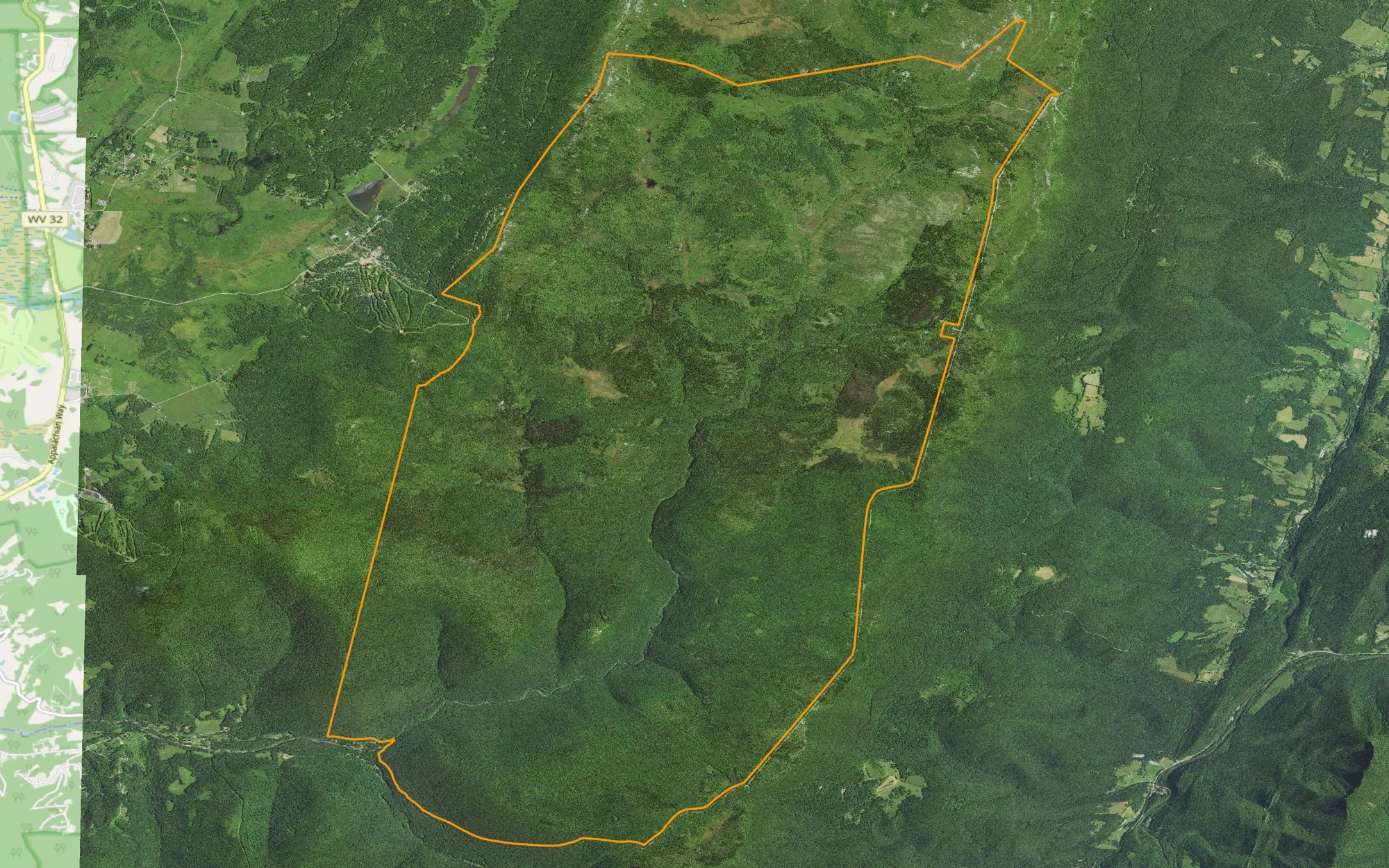 NAIP 2020 aerial imagery mosaic covering the Dolly Sods Wilderness area of interest in West Virginia, outlined in orange, over an OpenStreetMap basemap