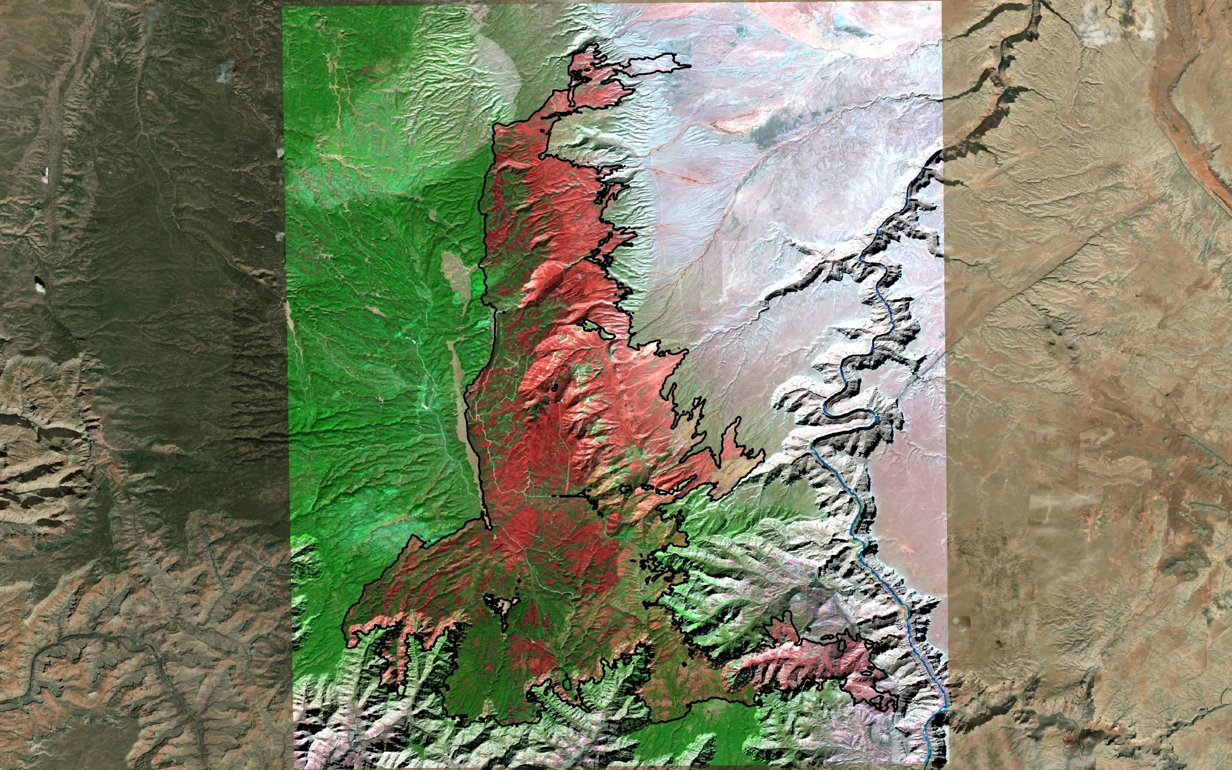 Post-fire false-color satellite image of the 2025 Dragon Bravo Fire on the Grand Canyon's North Rim: the burn scar in red-brown against green forest, with the burned area outlined