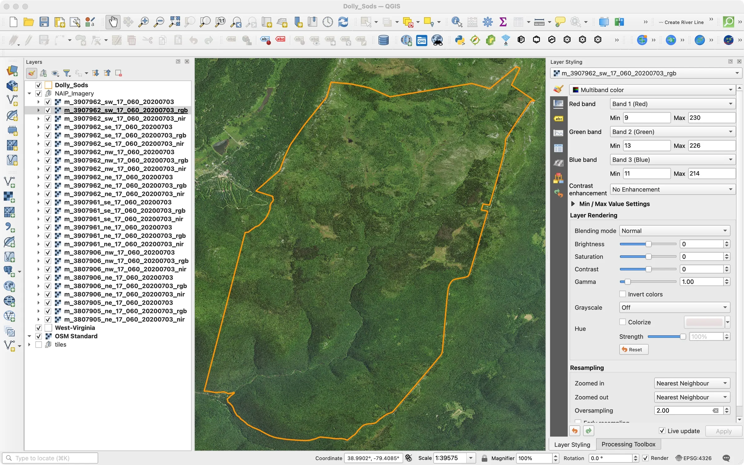 QGIS with the nine downloaded NAIP scenes and their RGB and near-infrared versions in the Layers panel, the imagery and Dolly Sods Wilderness outline on the map, and band settings in the Layer Styling panel